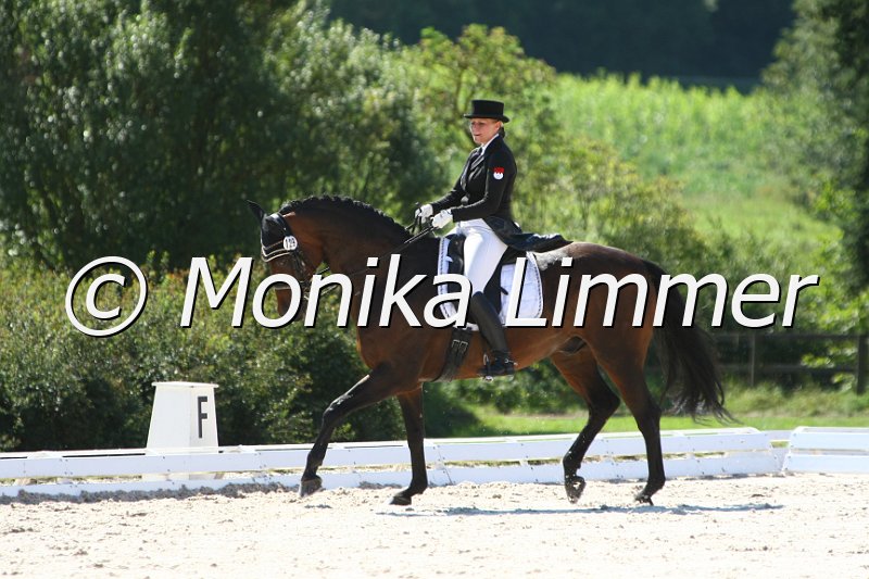 109M7483_Don Emilio_Dressur Sx.JPG